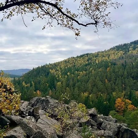 Prirodni - Lipenska Louka Slupecna * Lipno nad Vltavou